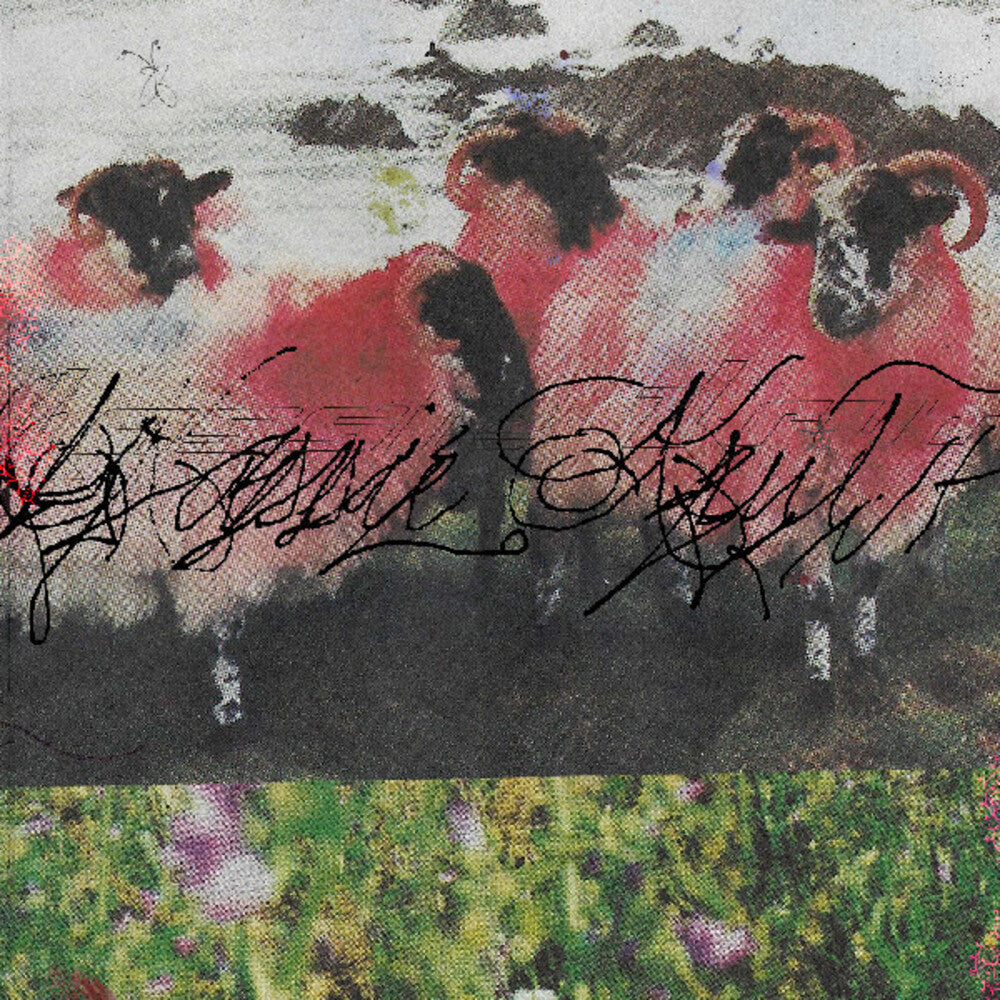 Kassie Krut- Kassie Krut - LP