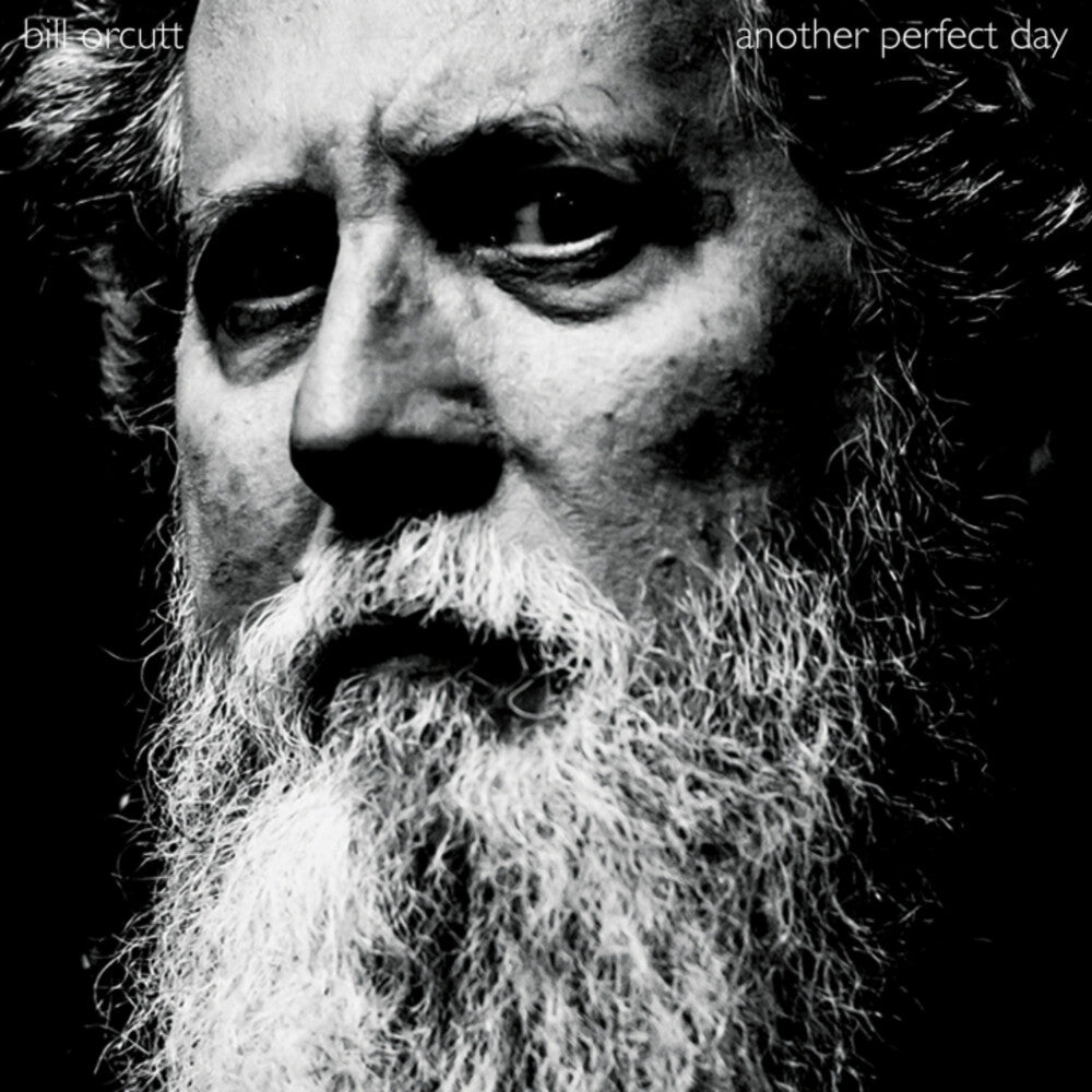 Bill Orcutt- Another Perfect Day - LP