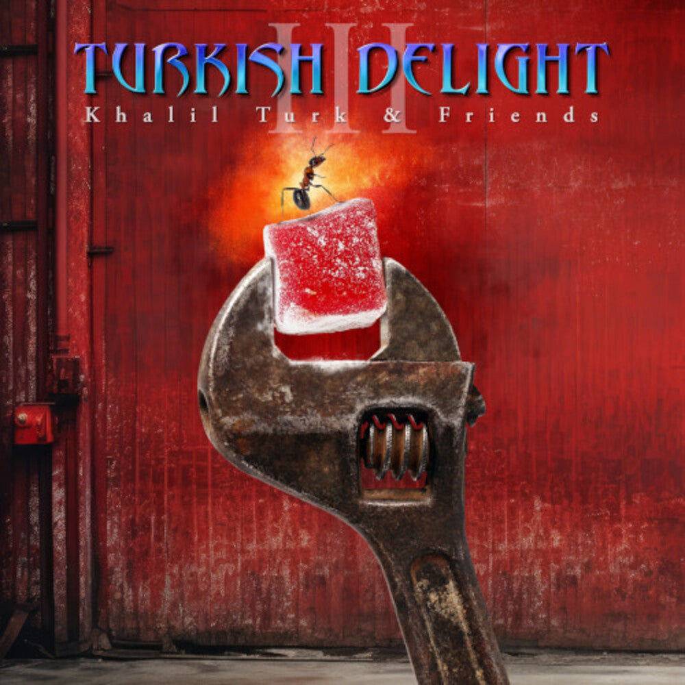 Turkish Delight Volume Three / Various- Turkish Delight Volume Three / Various - LP