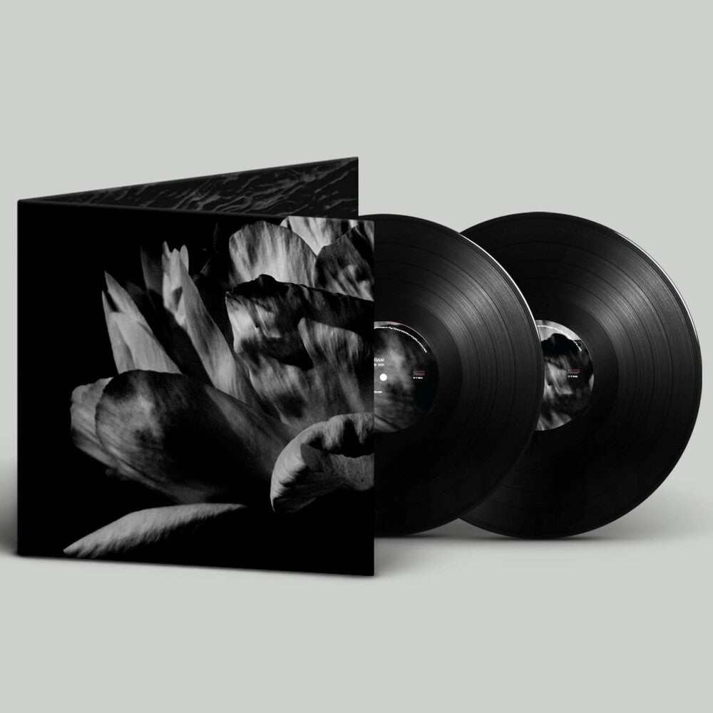 Louise Roam- La Ou Passe La Nuit (Gate) - LP