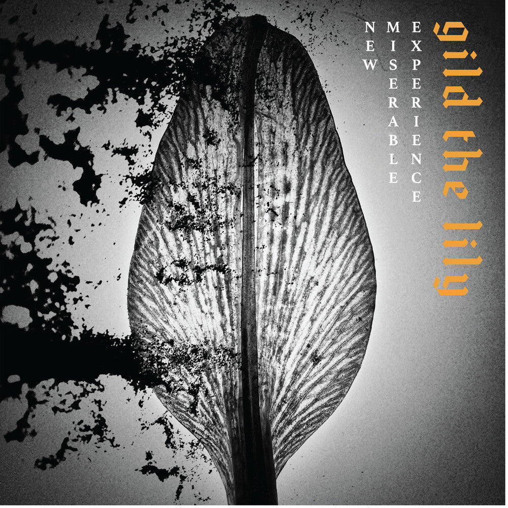 New Miserable Experience- Gild The Lily - LP