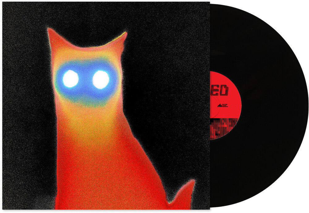 Basement- Wired - LP