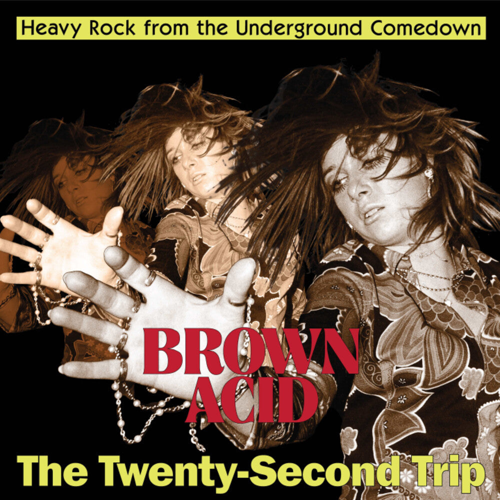 Brown Acid - Twenty-Second Trip / Various- Brown Acid - The Twenty-Second Trip (Various Artists) - LP