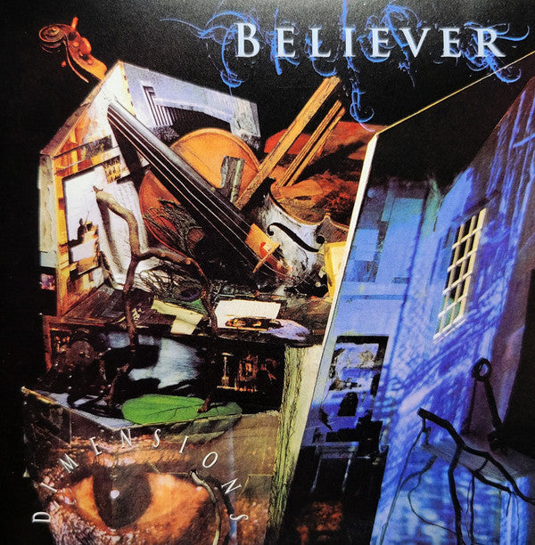 Believer- Dimensions - LP