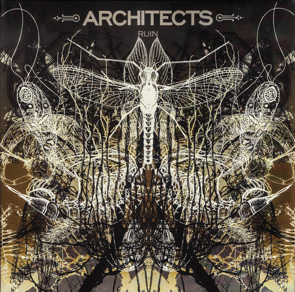 Architects- Ruin - LP