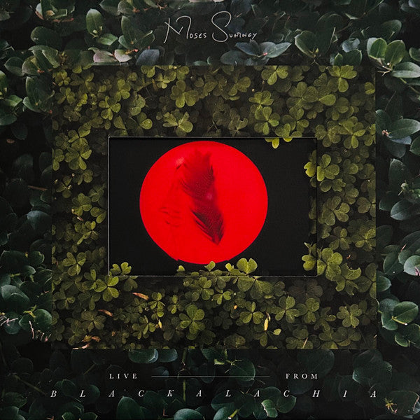 Moses Sumney- Live From Blackalachia - Opaque Red Colored Vinyl - LP