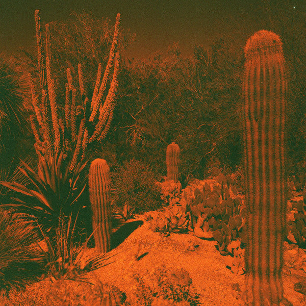 Anticipation (Indie Exclusive Vinyl) - LP