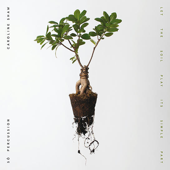 Let The Soil Play Its Simple Part - LP
