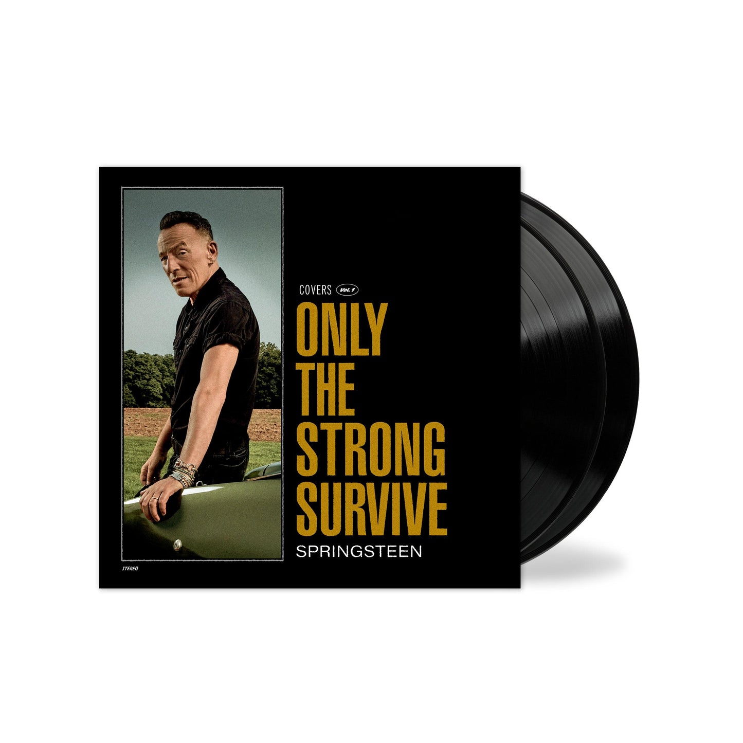 Bruce Springsteen- Only The Strong Survive - LP