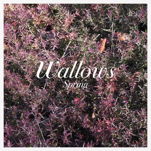 Wallows- Spring EP - LP