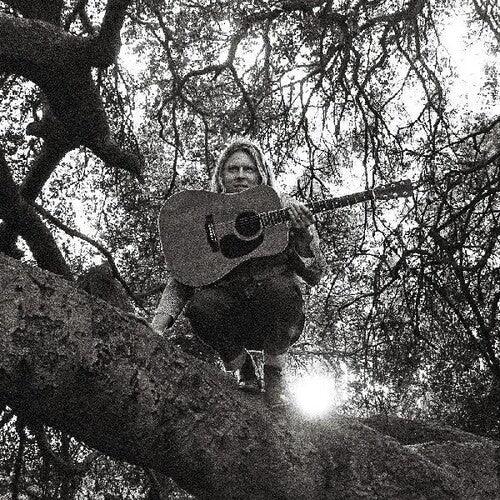 Ty Segall- Hello Hi - LP