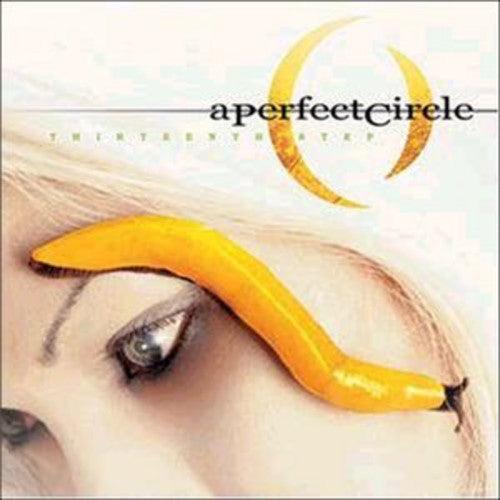 A Perfect Circle- Thirteenth Step - LP