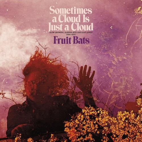 Fruit Bats- Sometimes a Cloud Is Just a Cloud: Slow Growers, Sleeper Hits and Lost Songs (2001–2021) (Pink/Violet Vinyl) - LP