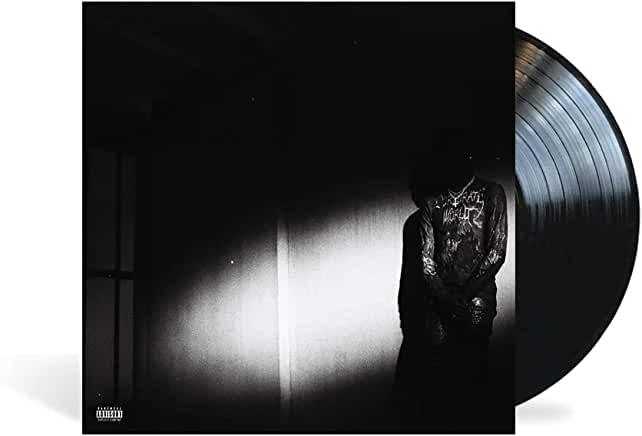 Destroy Lonely- No Stylist - LP