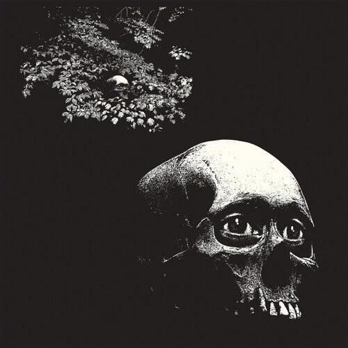 Osees- Foul Form - LP