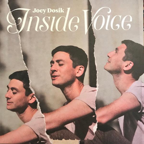 Joey Dosik (Vulfpeck)- Inside Voice - LP