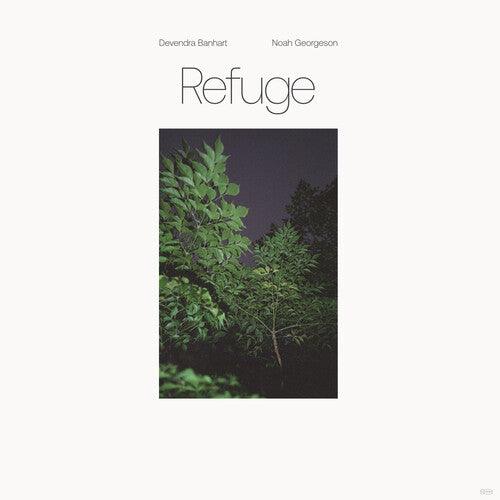 Devendra Banhart- Refuge (Blue Seaglass Wave Translucent Vinyl) - LP