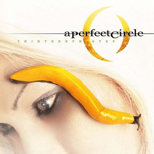 A Perfect Circle- Thirteenth Step (MoV) - LP