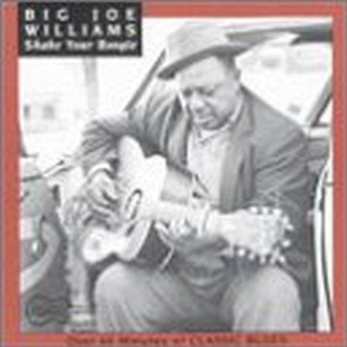 Big Joe Williams: Shake Your Boogie  [ CD ]