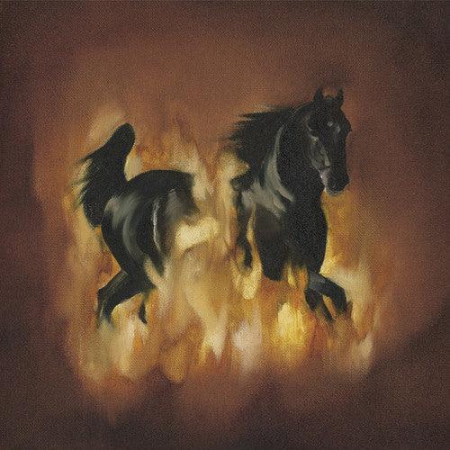 The Besnard Lakes- The Besnard Lakes Are The Dark Horse - LP