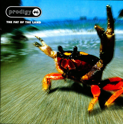 Prodigy: The Fat Of The Land [ LP ]