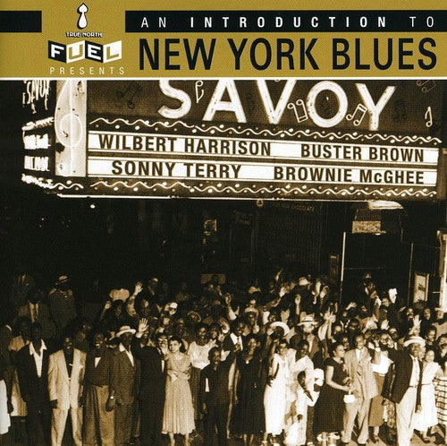 Various Artists: Intro to New York Blues / Various  [ CD ]