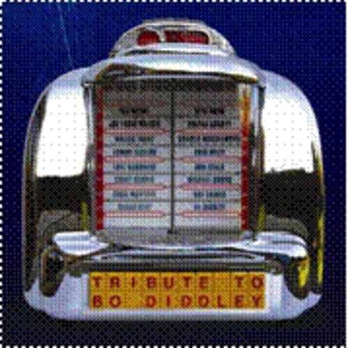 Various Artists: Tribute to Bo Diddley  [ CD ]