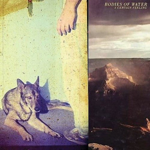 Bodies of Water: A Certain Feeling [ LP ]