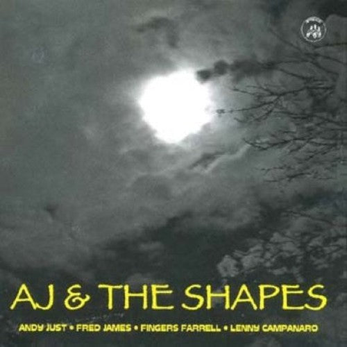 AJ & the Shapes: Andy Just and The Shapes  [ CD ]