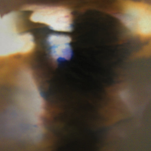 Animal Collective: Fall Be Kind  [ CD ]