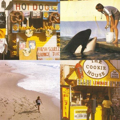 Best Coast- Something in the Way - LP
