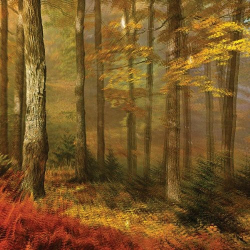 People of the North: Deep Tissue [ LP ]