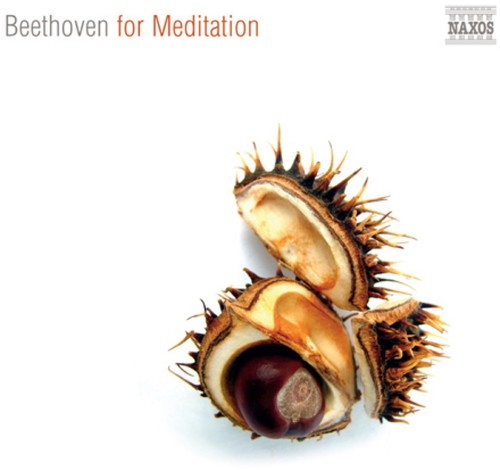 Beethoven for Meditation: Beethoven for Meditation  [ CD ]