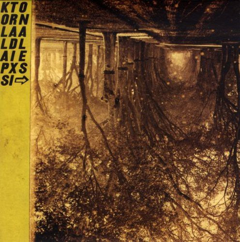 Thee Silver Mt. Zion: Kollaps Tradixionales [With CD] [With Book] [With Poster] [Deluxe Edition] [ LP ]