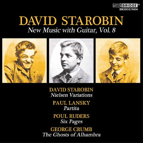 David Starobin: New Music with Guitar 8  [ CD ]