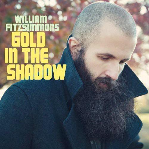 William Fitzsimmons- Gold in the Shadow - LP