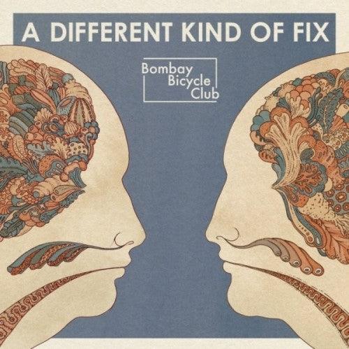 Bombay Bicycle Club- Different Kind of Fix - LP