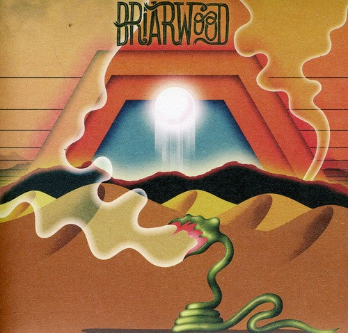 Wooden Wand & the Vanishing Voice: Briarwood  [ CD ]