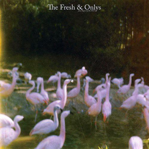 The Fresh & Onlys- August in My Mind - LP