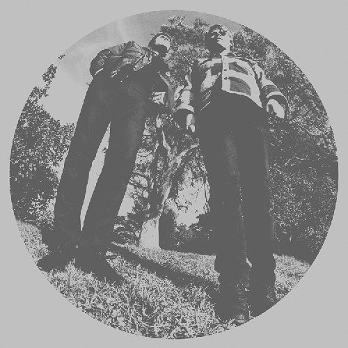 Ty Segall- Hair [LP] - LP