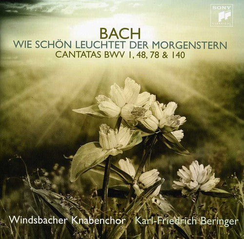 Windsbacher Knabenchor: Bach J.S: Cantatas  [ CD ]