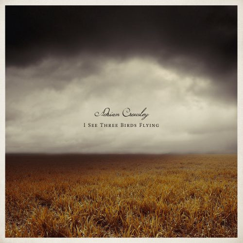 Adrian Crowley: I See Three Birds Flying [ LP ]