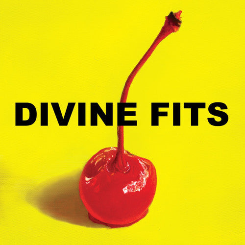 Divine Fits: A Thing Called Divine Fits - VINYL