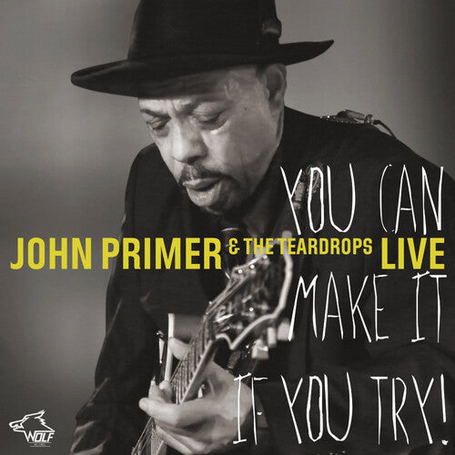 John Primer: You Can Make It If You Try  [ CD ]