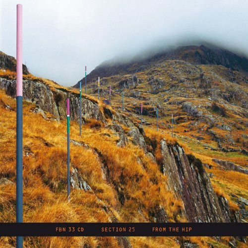 Section 25: From the Hip  [ CD ]