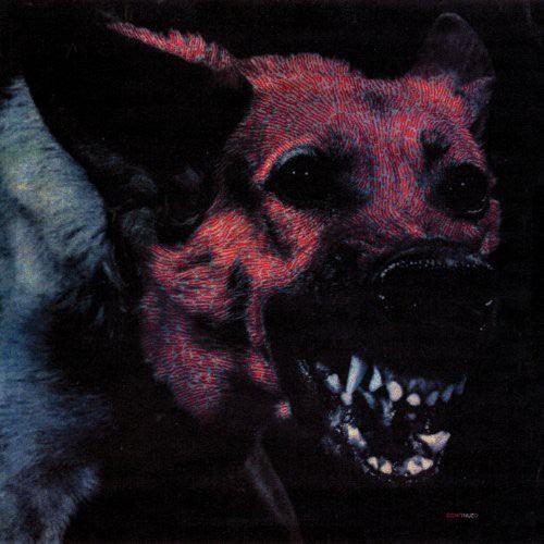 Protomartyr- Under Color of Official Right - LP