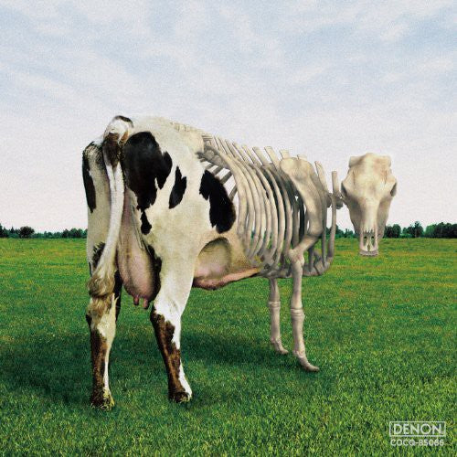 Morgaua Quartet: Atom Heart Mother Is on the Edge  [ CD ]