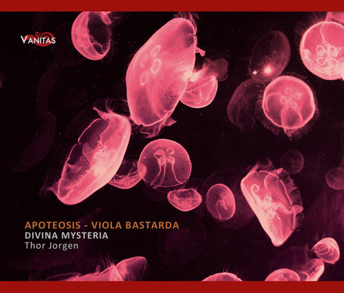 Divina Mysteria / Jorgen / Amilcar / Gomez: Apoteosis: Viola Bastarda in 16th Century  [ CD ]