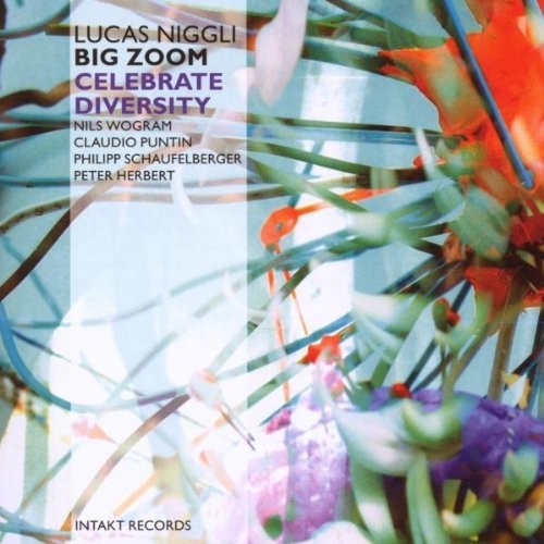 Niggli: Celebrate Diversity Zoom  [ CD ]