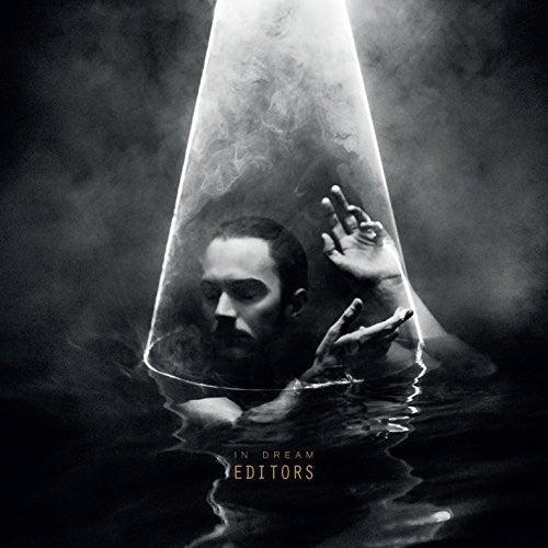 Editors- In Dream - LP